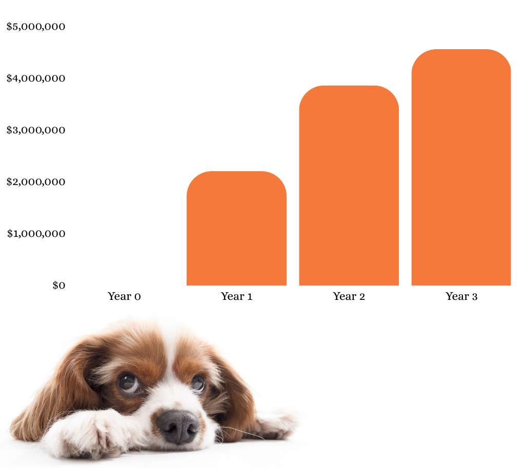 Amazon Marketing Results - Accelerazon Case Studies